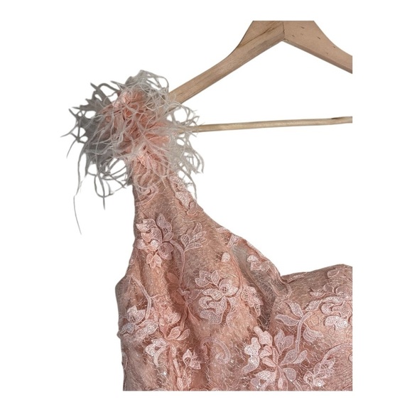 Abby Paris Longs by Lucci Lu Lace Gown with Tulle Overskirt in Blush NWT - Picture 6 of 12
